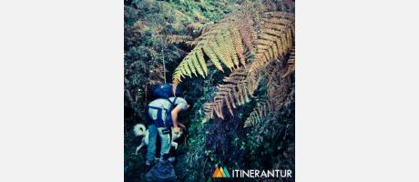 Sierra de Espadán con Itinerantur
