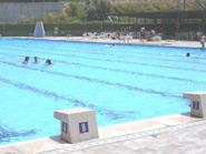 Polideportivo Municipal