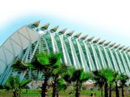Musée Des Sciences Principe Felipe