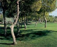 Club de Golf Las Ramblas de Orihuela
