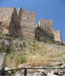 Museu Fester