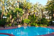 Huerto del Cura, a la sombra de un oasis
