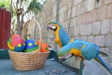 Terra Natura Benidorm, enjoy wild nature with your family