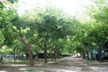 Family and nice atmosphere in Camping Los Cloticos in Bejís