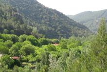 Family and nice atmosphere in Camping Los Cloticos in Bejís