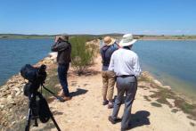 Contempla lo nunca visto con Birdwatching Spain