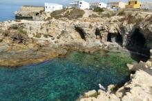 Viaja a la isla de Tabarca con Tabarbus