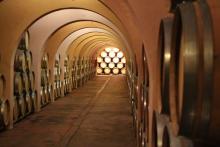 Bodegas Las Virtudes, tradición y pasión vinícola