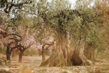 Les Eres, un alberg rural per als amants de la naturalesa
