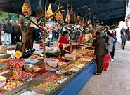 Festivitat de Sant Antoni Abat