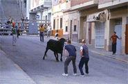 Fiestas de los barrios