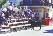 Festes a Moixent