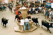 Fêtes Patronales