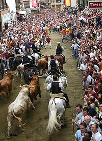 Entrada de Toros y Caballos
