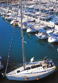 Marina Internacional de Torrevieja