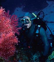 Centro de Buceo Bentos (Padi)