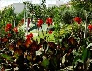 Parque Josep Mª Ribelles