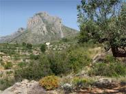 Les Sierras de Benicadell et d'Agullent
