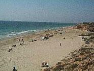 Playa Mil Palmeras