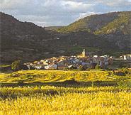 El Racó d'Ademuz