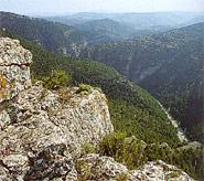 Parque Natural de La Tinença de Benifassà