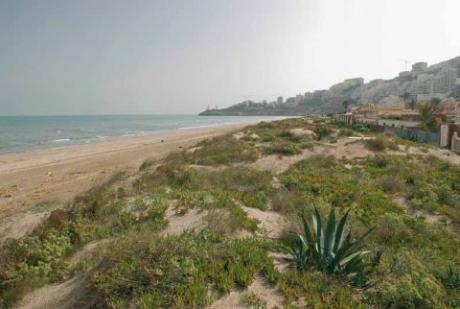 Playa Dossel