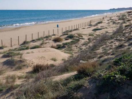 El Moncayo Beach