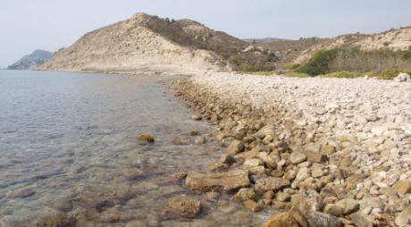 Platja del Carritxal