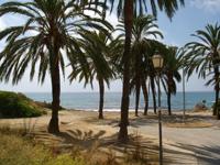Cala de les Palmeretes