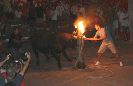Fiestas del Santísimo Cristo