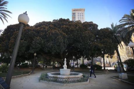 Un paseo por Alicante entre verdes gigantes