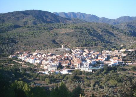 Festividad de San Antonio Abad