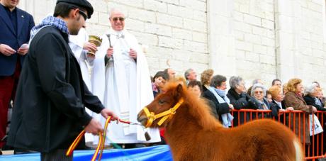 Feria de San Antonio Abad