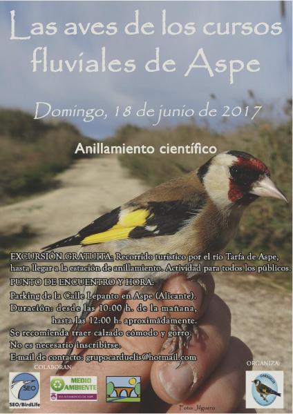 EXCURSIÓN: ANILLAMIENTO CIENTÍFICO DE AVES EN LOS CURSOS FLUVIALES DE ASPE