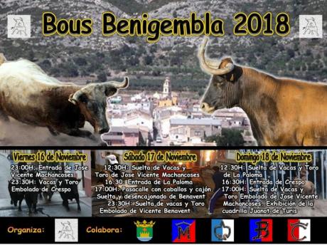 Toros en Benigembla