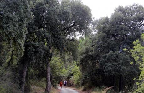 RUTAS SENDERISMO, ONDA 2018