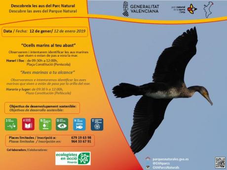 “Aves Marinas a tu alcance” Peñíscola