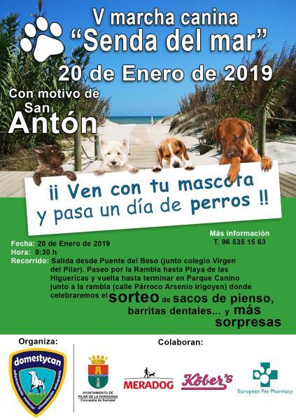 V Marcha canina "Senda del mar" Con motivo de San Antón en Pilar de la Horadada