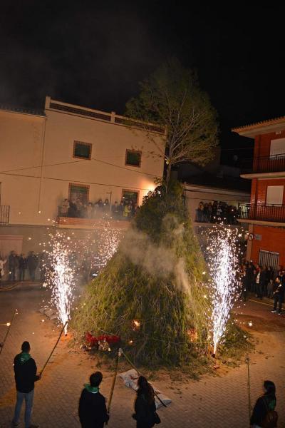 Festividad San Antón 2019 en Anna