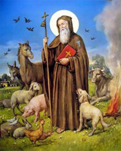 Fiestas de San Antonio