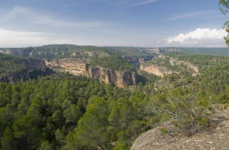 Alto Turia and the Cabriel Valley, new Biosphere Reserves