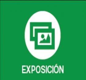 XXIV CONCURSO DE DIBUJO INFANTIL Y JUVENIL DEL REAL CLUB NÁUTICO DE CALPE