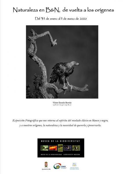 NATURALEZA EN BLANCO Y NEGRO "De vuelta a los Origenes"